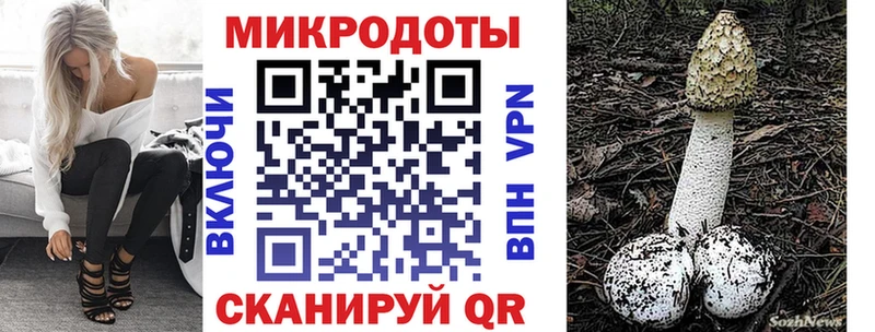 Псилоцибиновые грибы Cubensis  Клинцы 